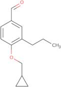3,3'-Disulfanediylbis[(2S)-2-methylpropanoic] acid