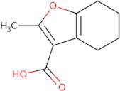 2-Methyl-4,5,6,7-tetrahydro-benzofuran-3-carboxylic acid