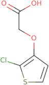 2-[(2-Chlorothiophen-3-yl)oxy]acetic acid