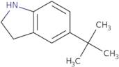 5-tert-Butyl-2,3-dihydro-1H-indole