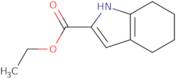 Ethyl 4,5,6,7-tetrahydro-1H-indole-2-carboxylate