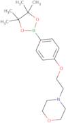 4-[2-(Morpholin-4-yl)ethoxy]benzeneboronic acid, pinacol ester