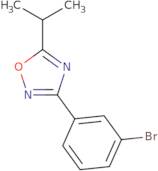 3-(3-Bromophenyl)-5-(propan-2-yl)-1,2,4-oxadiazole