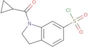 1-Cyclopropanecarbonyl-2,3-dihydro-1H-indole-6-sulfonyl chloride