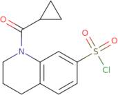 1-Cyclopropanecarbonyl-1,2,3,4-tetrahydroquinoline-7-sulfonyl chloride