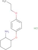 2-(4-Propoxyphenoxy)cyclohexan-1-amine hydrochloride