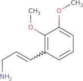 3-(2,3-Dimethoxyphenyl)prop-2-en-1-amine