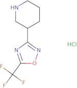 3-[5-(Trifluoromethyl)-1,2,4-oxadiazol-3-yl]piperidine hydrochloride