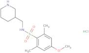 4-Methoxy-2,6-dimethyl-N-[(piperidin-3-yl)methyl]benzene-1-sulfonamide hydrochloride