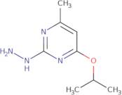 2-Hydrazinyl-4-methyl-6-(propan-2-yloxy)pyrimidine