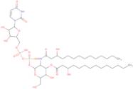 UDP-3-O-[R-3-hydroxymyristoyl]-N-[R-3-hydroxymyristoyl] glucosamine tris