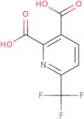 6-(Trifluoromethyl)pyridine-2,3-dicarboxylic acid