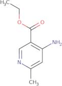 Ethyl 4-amino-6-methylnicotinate