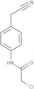 2-Chloro-N-[4-(cyanomethyl)phenyl]acetamide