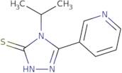 4-Isopropyl-5-pyridin-3-yl-4H-1,2,4-triazole-3-thiol