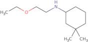 N-(2-Ethoxyethyl)-3,3-dimethylcyclohexan-1-amine