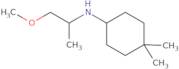 N-(1-Methoxypropan-2-yl)-4,4-dimethylcyclohexan-1-amine