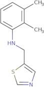 2,3-Dimethyl-N-(1,3-thiazol-5-ylmethyl)aniline