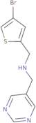 [(4-Bromothiophen-2-yl)methyl](pyrimidin-5-ylmethyl)amine