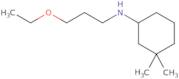 N-(3-Ethoxypropyl)-3,3-dimethylcyclohexan-1-amine