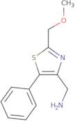 [2-(Methoxymethyl)-5-phenyl-1,3-thiazol-4-yl]methanamine