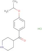 (4-Isopropoxy-phenyl)-piperidin-4-yl-methanone hydrochloride