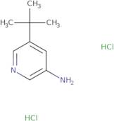 5-(tert-Butyl)pyridin-3-amine dihydrochloride