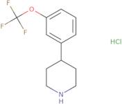 4-(3-Trifluoromethoxy-phenyl)-piperidine hydrochloride