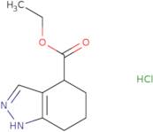 4,5,6,7-Tetrahydro-1H-indazole-4-carboxylic acid ethyl ester hydrochloride