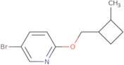 2-Diethylaminoethyl-3-(1-naphthyl)-2-(1-naphthylmethyl)propionate oxalate
