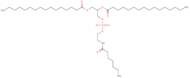 1,2-Dipalmitoyl-sn-glycero-3-phosphoethanolamine-N-(hexanoylamine)