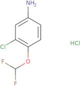 3-Chloro-4-(difluoromethoxy)aniline hydrochloride