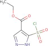 Ethyl 5-(chlorosulfonyl)-1H-pyrazole-4-carboxylate