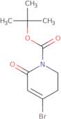 15(E)-Tetracosenoic acid