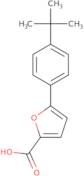 5-(4-tert-Butylphenyl)furan-2-carboxylic acid