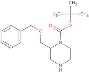 (R)-N1-Boc-2-(benzyloxymethyl)piperazine