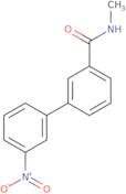 N-Methyl-3-(3-nitrophenyl)benzamide