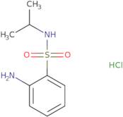 2-Amino-N-isopropylbenzenesulfonamide HCl