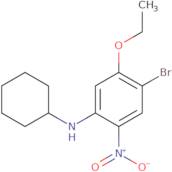 4-Bromo-N-cyclohexyl-5-ethoxy-2-nitroaniline