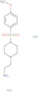 2-[4-(4-Methoxybenzenesulfonyl)piperazin-1-yl]ethan-1-amine dihydrochloride