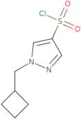 1-(Cyclobutylmethyl)-1H-pyrazole-4-sulfonyl chloride