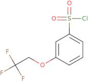 3-(2,2,2-Trifluoro-ethoxy)-benzenesulfonyl chloride