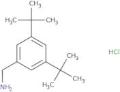 1-(3,5-Di-tert-butylphenyl)methanamine hydrochloride