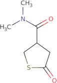 N,N-Dimethyl-5-oxothiolane-3-carboxamide