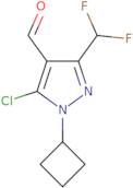 N-2,2-Dimethylpropanamide hydrochloride