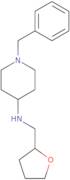 (1-Benzyl-piperidin-4-yl)-(tetrahydro-furan-2-ylmethyl)-amine