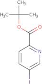 tert-Butyl 5-iodopicolinate