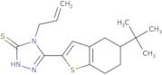 5-(5-tert-Butyl-4,5,6,7-tetrahydro-1-benzothiophen-2-yl)-4-(prop-2-en-1-yl)-4H-1,2,4-triazole-3-...