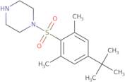 1-(4-tert-Butyl-2,6-dimethylbenzenesulfonyl)piperazine