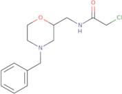 N-[(4-Benzylmorpholin-2-yl)methyl]-2-chloroacetamide